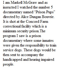 Prison Programming (DB)_ Institutional Corrections